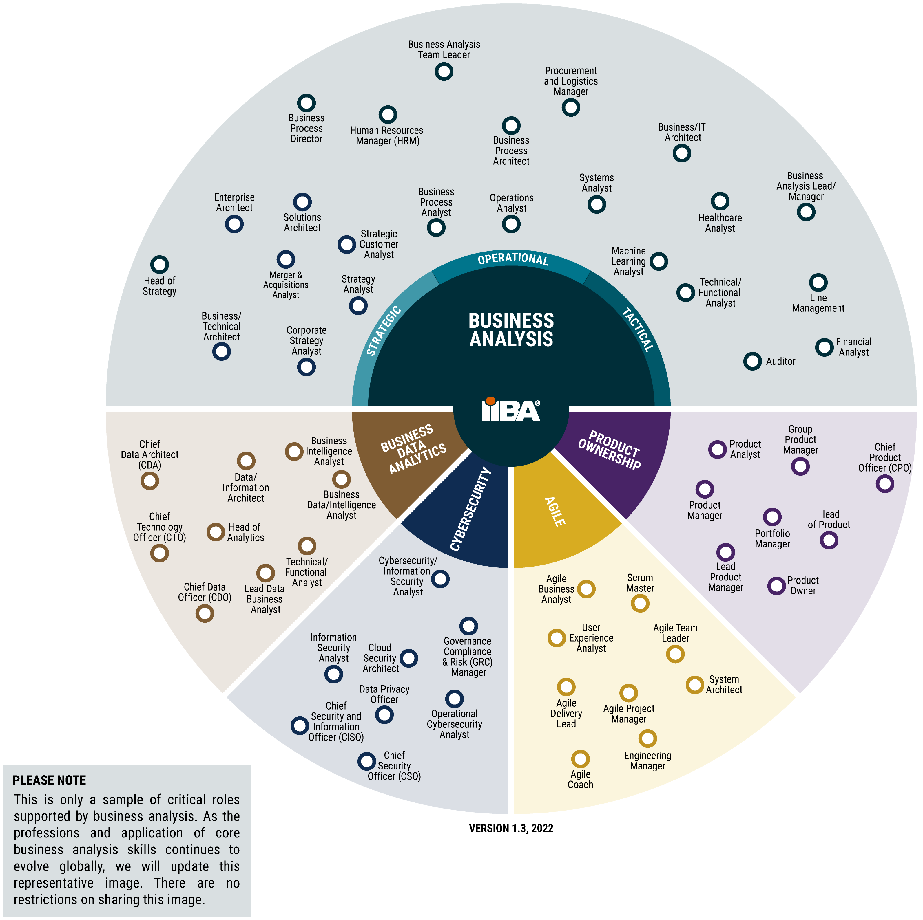 Continuing Evolution of Business Analysis (IIBA)