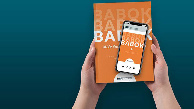 Babok Guide