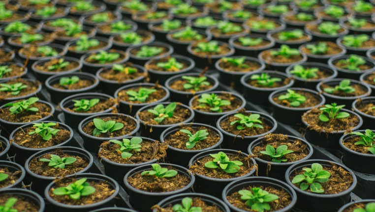 Why Scaling Agile is Essential for Your Organization-card