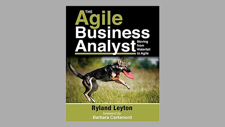 The Agile Business Analyst Moving from Waterfall to Agile-bookstore-card-768x432.jpg