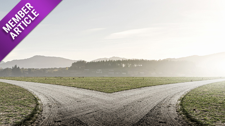 Picture of a fork in the road, with a treeline and mountains in the distance